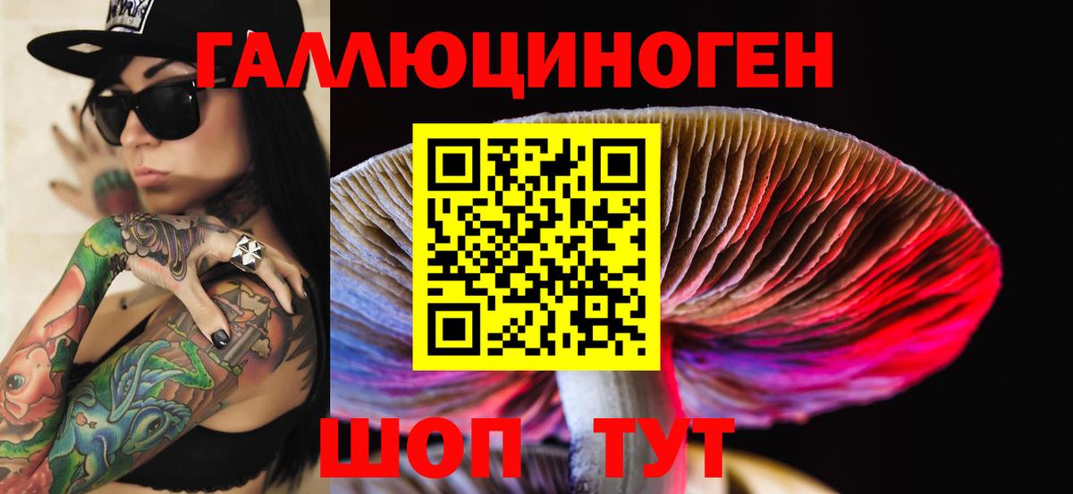 Псилоцибиновые грибы GOLDEN TEACHER  Вход с VPN  Салехард 